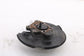 22-24 Toyota Corolla LE FWD Rear Right Side Bearing Hub w/ Disc Brake Dust Cover6