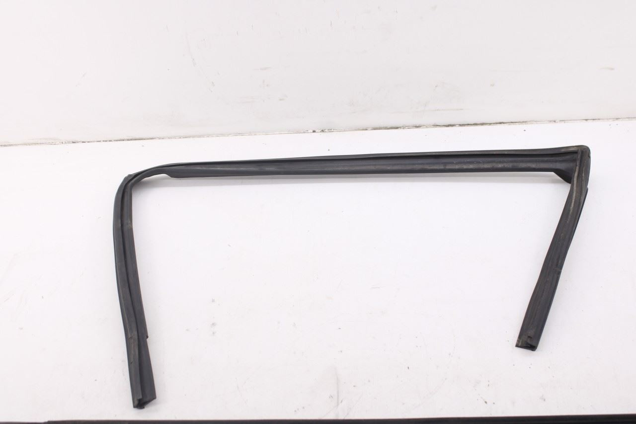 2010-20 Dodge Grand Caravan SXT Rear Left Door Window Run Channel Trim Belt Set2
