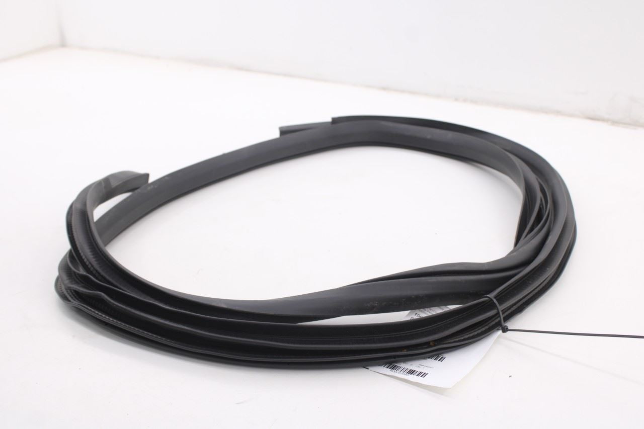 2015-26 Ford F150 XLT Supercrew Rear Left Driver Side Door Weatherstrip On Body6