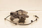 2022-2025 Hyundai Tucson SEL Front Right Side Spindle Knuckle Hub 51711-N9200 - Alshned Auto Parts
