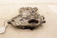 22-25 Hyundai Tucson SEL 2.5L Engine Front Timing Chain Cover 21350-2S050 *ReaD* - Alshned Auto Parts