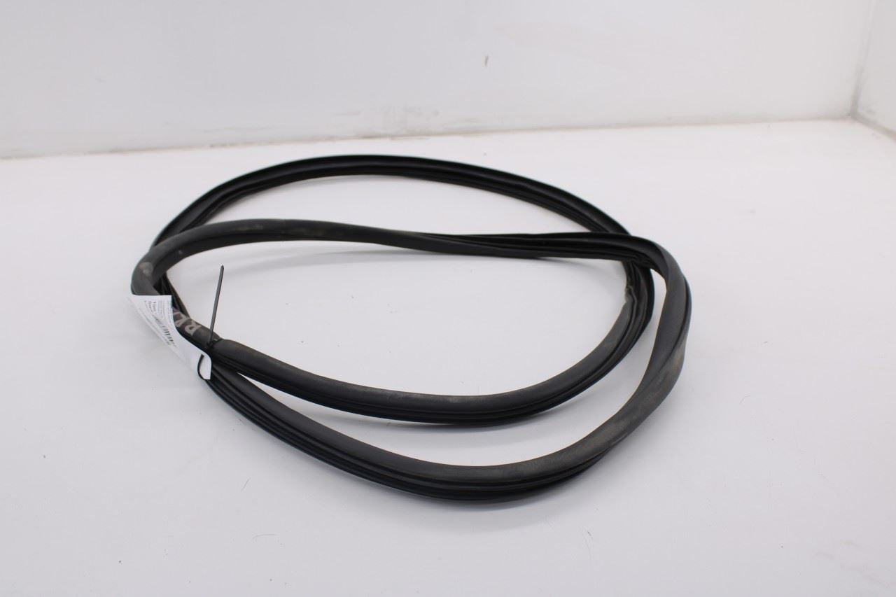 2019-2026 Ram 1500 Big Horn Crew Cab Rear Left Side Door Weatherstrip On Body6
