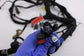 2021 Ram 1500 Big Horn Dash Instrument Panel Wire Wiring Harness 68474680AC OEM - Alshned Auto Parts
