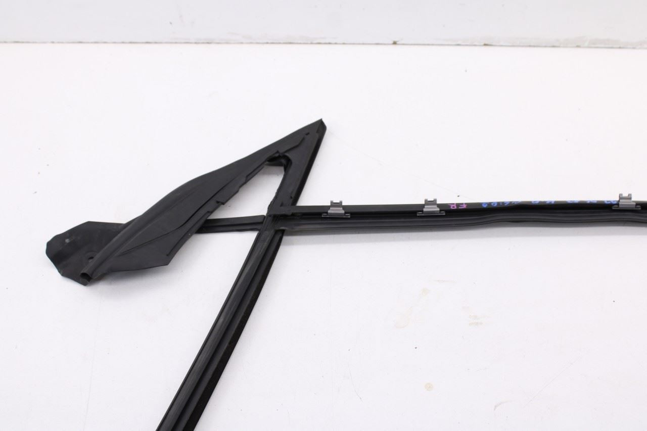 2023-2025 BMW 430i Gran Coupe xDrive Front Right Door Run Channel w/ Molding Set - Alshned Auto Parts
