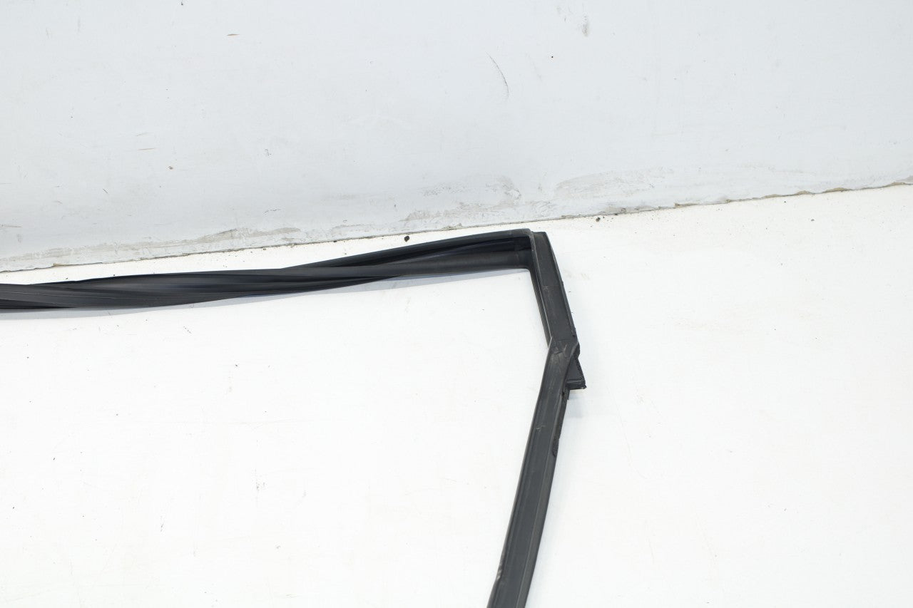 2015-2019 Nissan Murano Rear Left Door Window Run Channel w/ Belt Seal Molding - Alshned Auto Parts