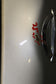 2017-20 Nissan Pathfinder SV Liftgate Back Door Shell Panel w/ Glass 90100-3KA1B - Alshned Auto Parts