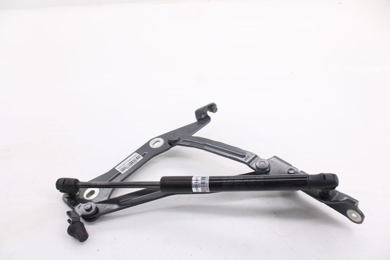 2015-23 Ford Mustang GT Rear Liftgate Trunk Right and Left Side Hinge Set of 210