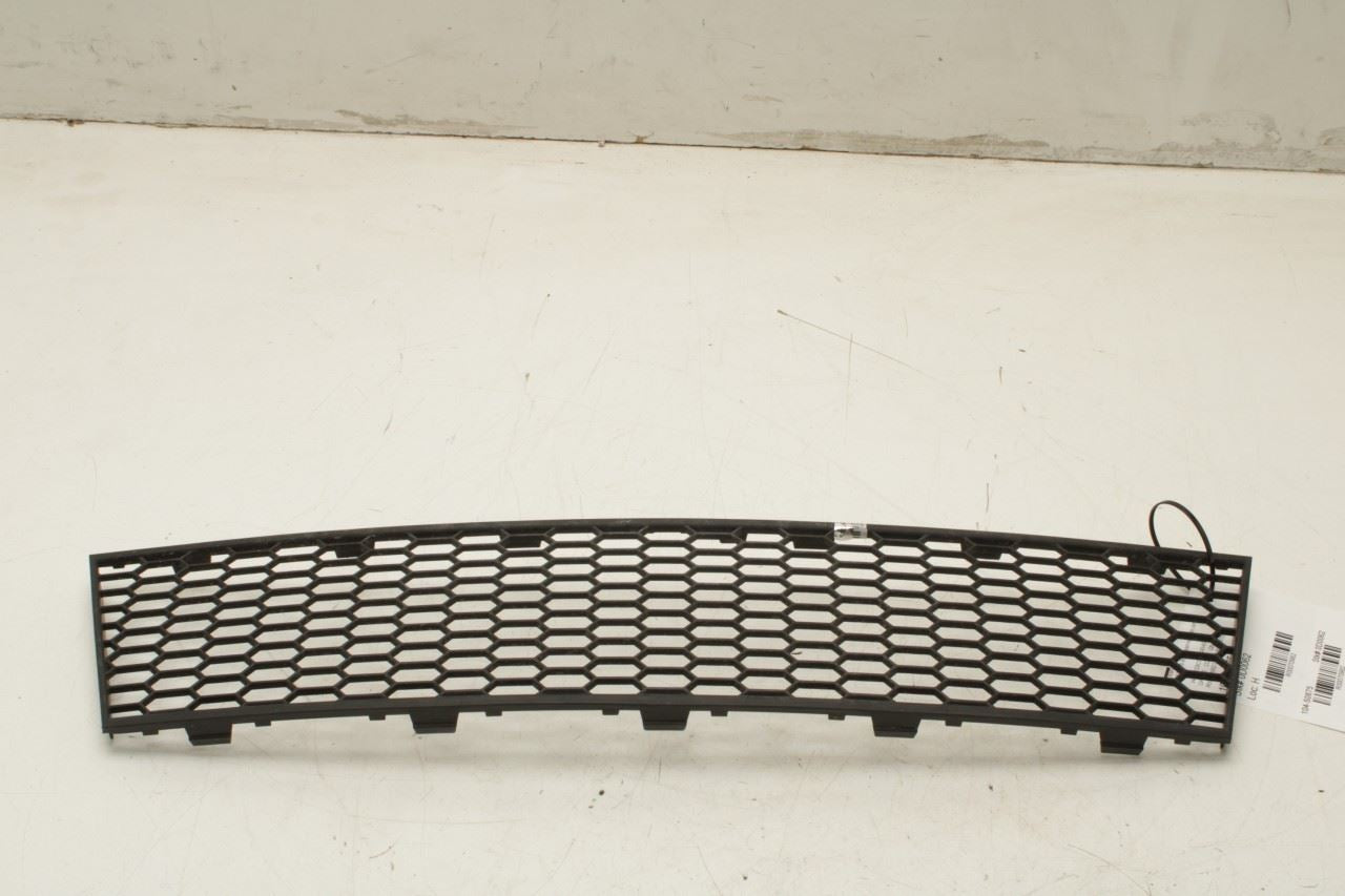 2010-2012 BMW 750Li xDrive Front Bumper Center Lower Grille 51117183870 OEM - Alshned Auto Parts