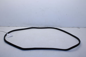 2015-24 Nissan Murano Platinum Rear Right Door Weatherstrip On Body 76923-5AA0B