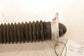 2023-2026 Acura Integra A-Spec 1.5L FWD Rear Right Side Shock Strut Absorber - Alshned Auto Parts