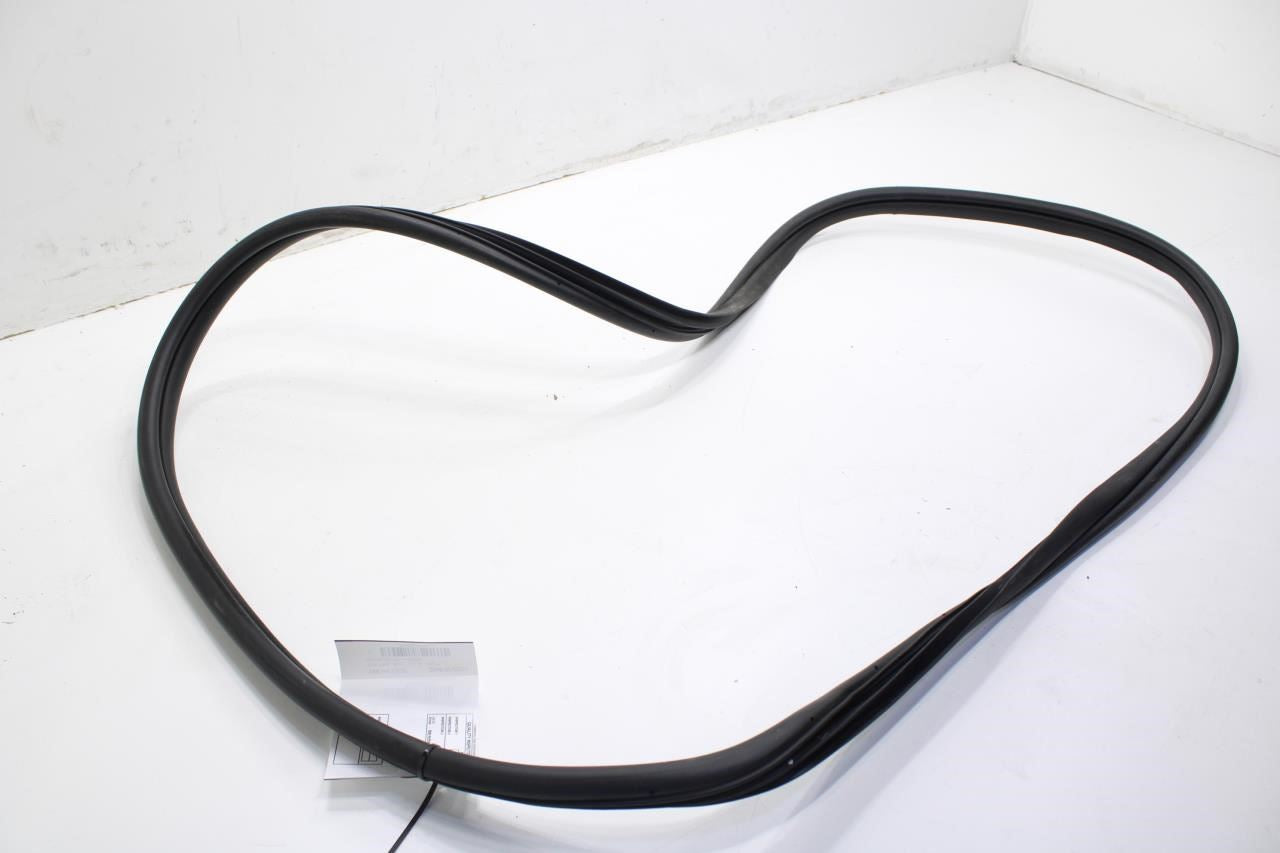 2020-2022 Hyundai Sonata SE Front Left Door Weatherstrip On Body 82110-L0000 OEM - Alshned Auto Parts