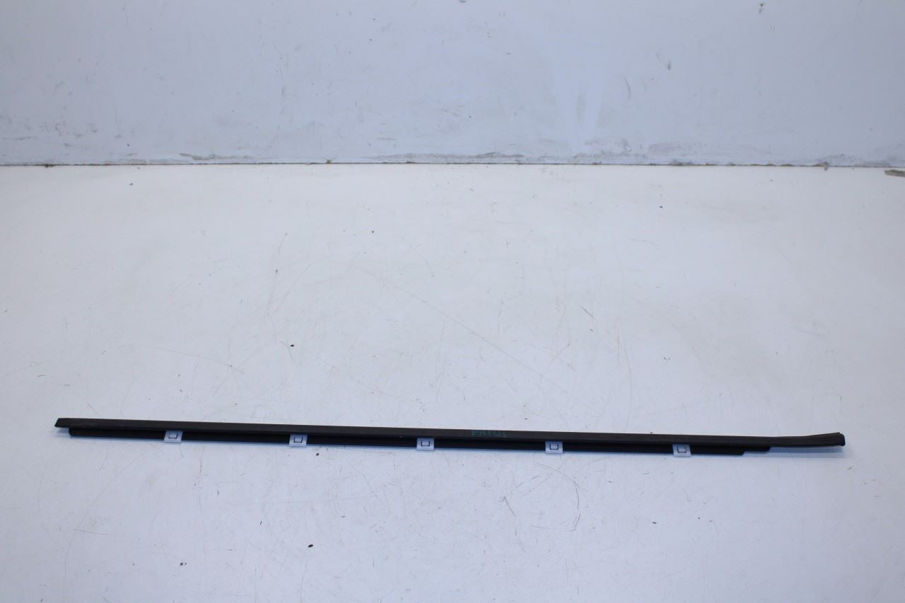 2016-20 Hyundai Elantra Front Left Door Run Channel w/ Belt Molding Weatherstrip - Alshned Auto Parts