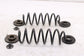2015-2018 Volkswagen Jetta Sport Rear Right and Left Driver Side Coil Spring Set - Alshned Auto Parts
