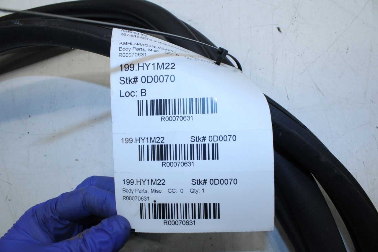 2021-23 Hyundai Elantra Front Right Door Weatherstrip On Body Korea 82120-AA000 - Alshned Auto Parts
