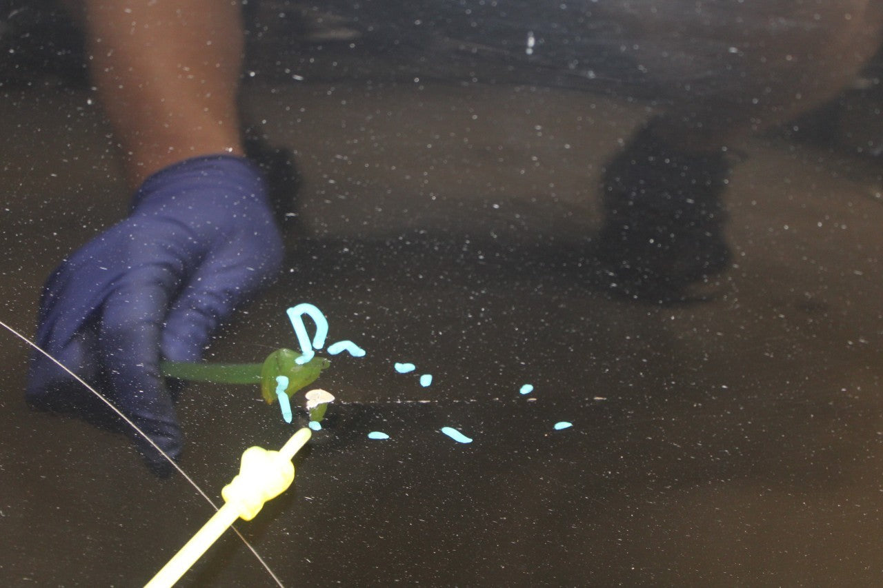 10-16 Porsche Panamera Rear Right Door Shell Panel 970-532-012-01-GRV OEM *ReaD* - Alshned Auto Parts