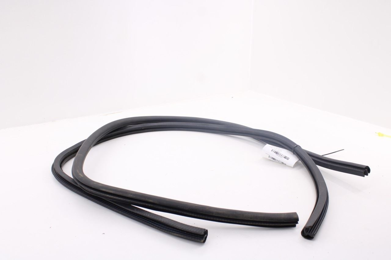15-26 Ford Mustang GT Right Left Side Door Lower Weather-strip Seal On Body Set - Alshned Auto Parts