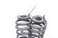 18-22 Ford EcoSport Rear RH and LH Suspension Coil Spring Pair GN15-5560-J4E OEM - Alshned Auto Parts
