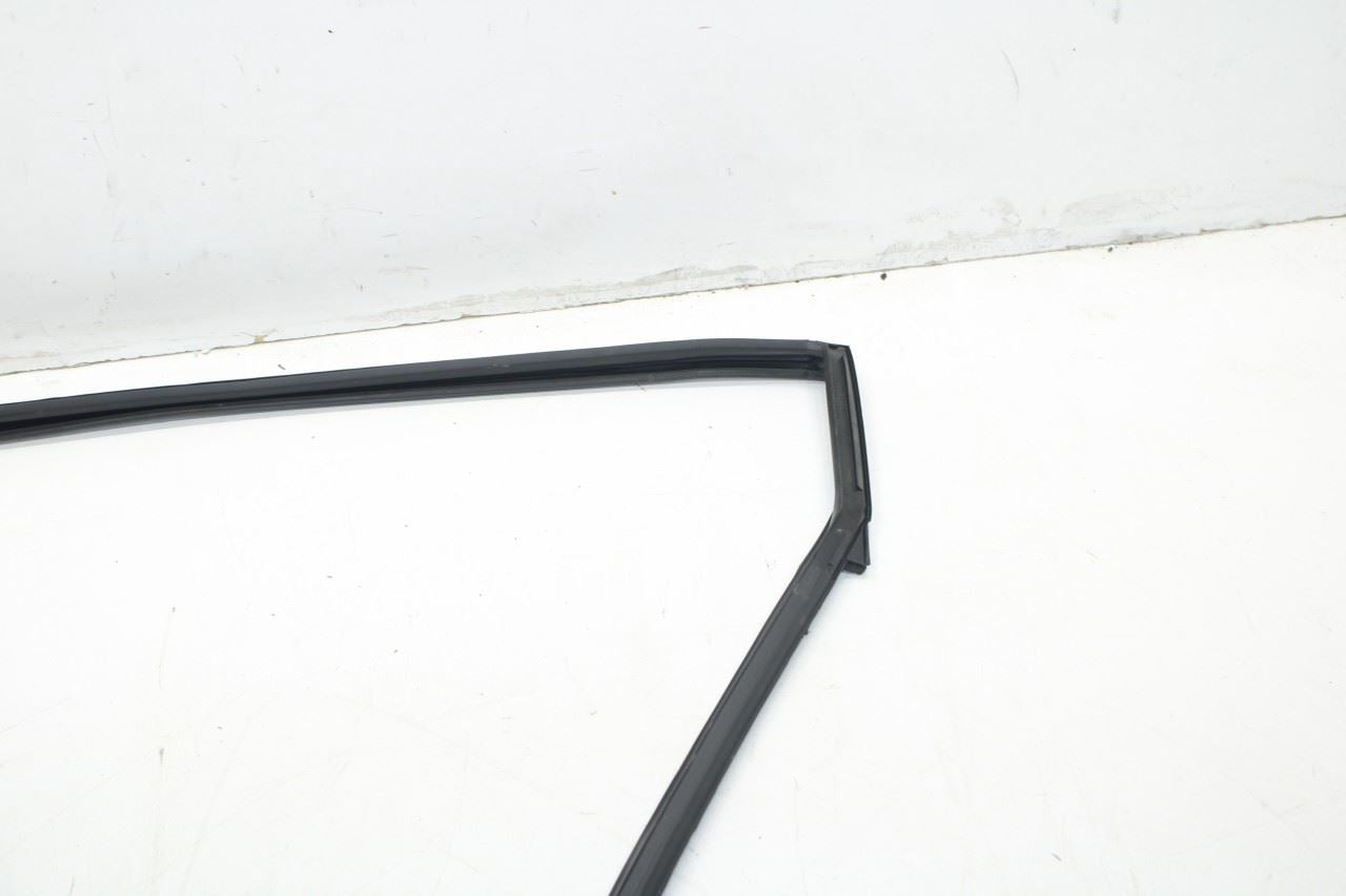 2015-2019 Nissan Murano Rear Right Door Window Run Channel w/ Belt Seal Molding - Alshned Auto Parts