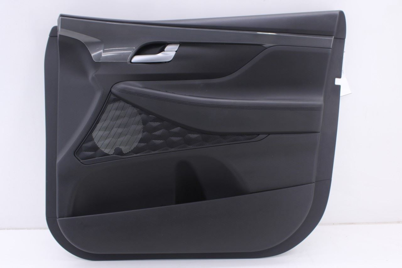 2021-23 Hyundai Santa Fe SEL Front Right Side Door Trim Panel 93576-S1100NNB OEM0