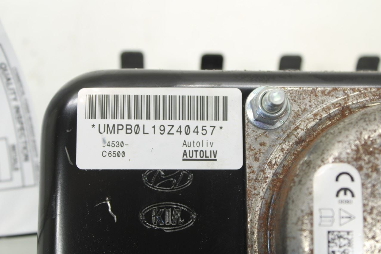 2016-2020 KIA Sorento LX Front Passenger Right Side Dash Air Bag 84530-C6500 OEM - Alshned Auto Parts