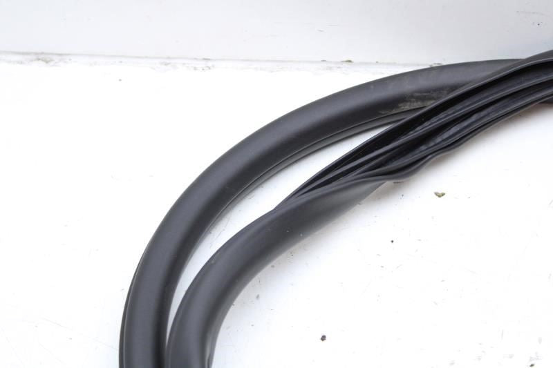 2024-25 Chevrolet Trax Front Left Driver Door Weatherstrip On Body 42708691 OEM - Alshned Auto Parts