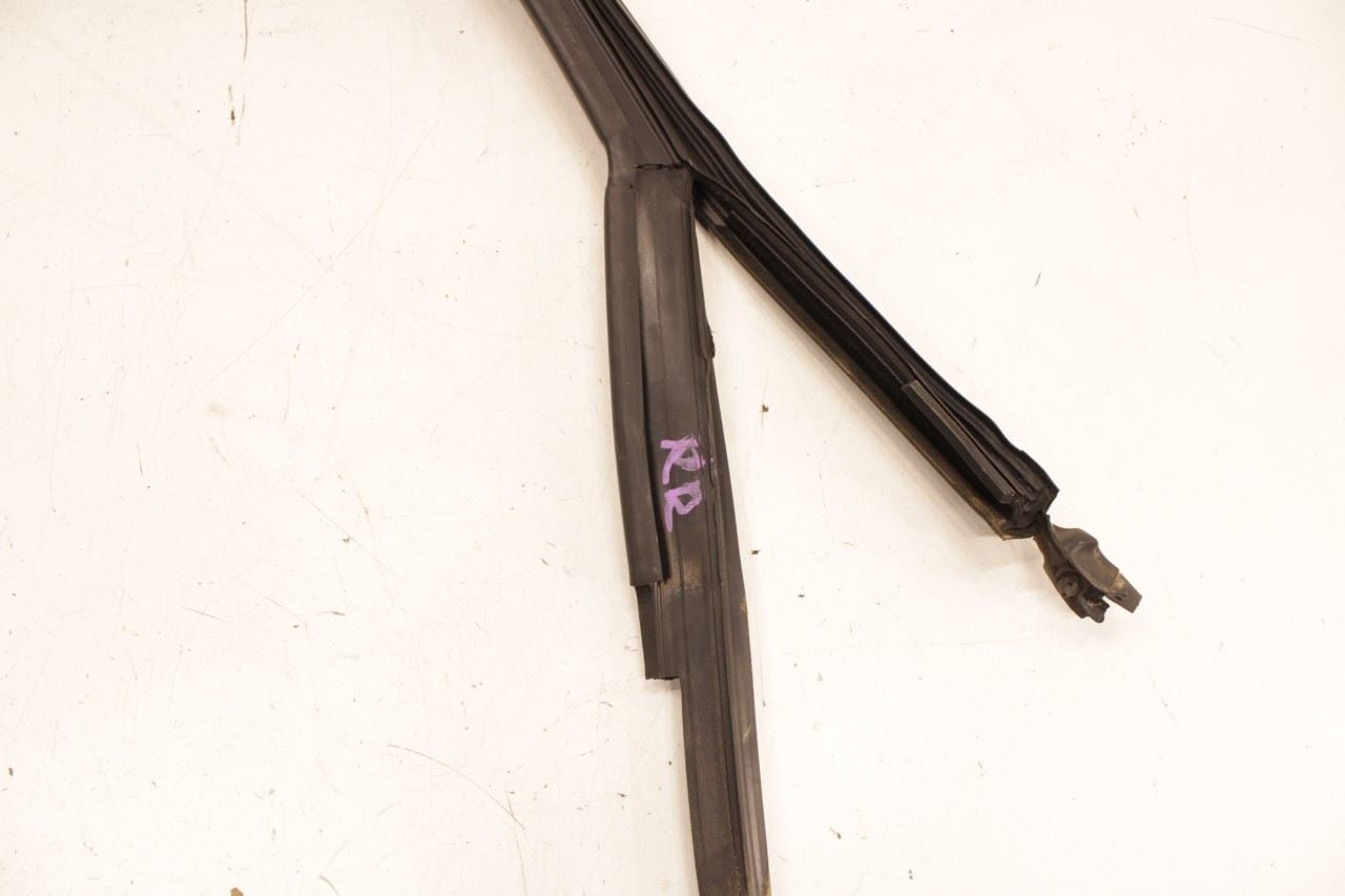 2012-2019 Volkswagen Passat SE Rear Right Door Run Channel w/ Belt Weatherstrips - Alshned Auto Parts