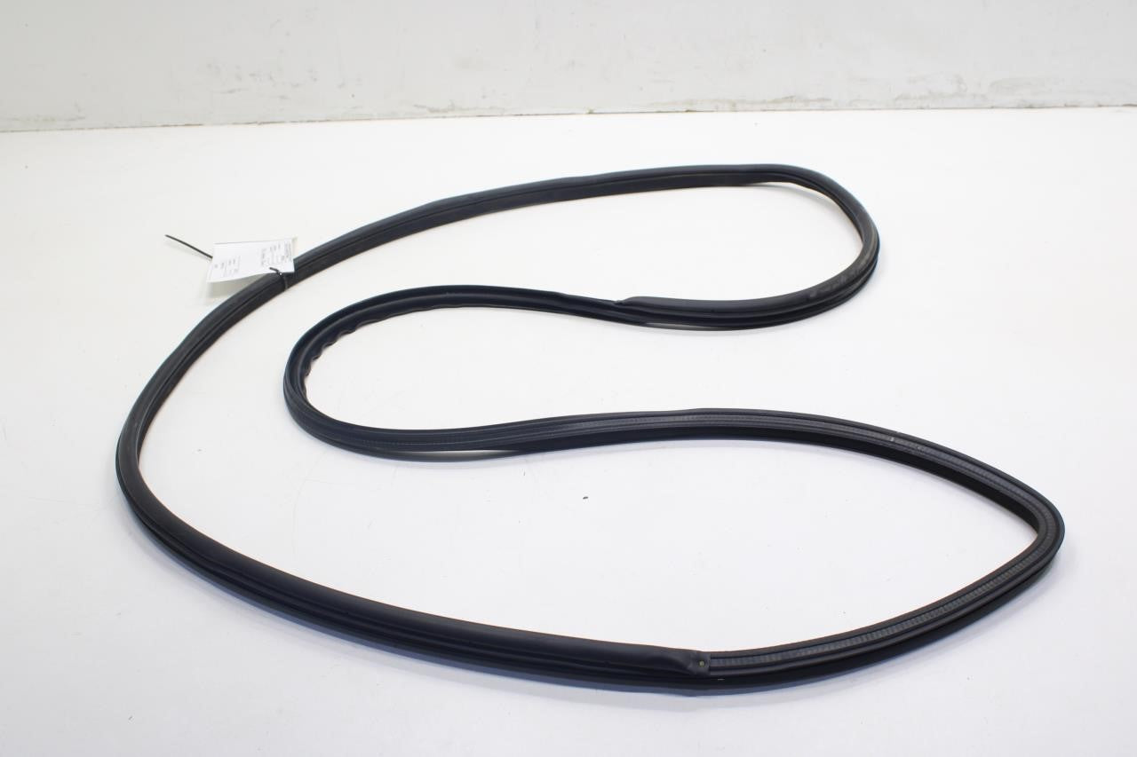 2017-2022 Infiniti Q60 Luxe Front Left Door Weatherstrip On Body 76922-5CA0A OEM - Alshned Auto Parts