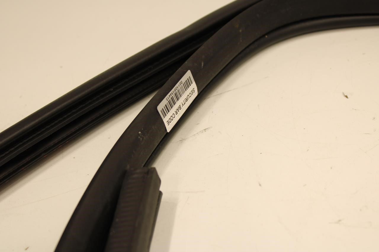 2019-2020 Nissan Altima SL Rear Left Door Weatherstrip On Body 76924-6CA0A OEM - Alshned Auto Parts