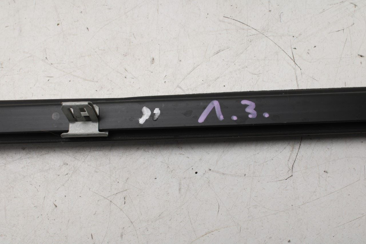 20-25 Ford Escape Rear Left Door Run Channel w Belt Weatherstrips LJ6Z-7825767-D - Alshned Auto Parts