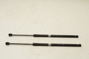 2010-2016 Mercedes-Benz E350 Sport 4MATIC Front Hood Lift Support Strut Set