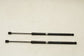 2010-2016 Mercedes-Benz E350 Sport 4MATIC Front Hood Lift Support Strut Set - Alshned Auto Parts
