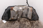 2006-2015 Lexus IS250 2.5L Fuel Gas Tank 17.1 US Gallons 77001-53071 OEM - Alshned Auto Parts