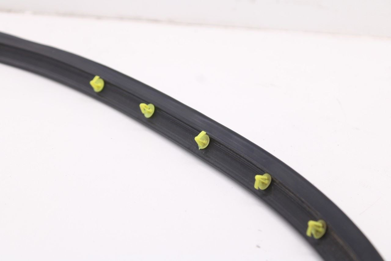 2018-2024 Chevrolet Equinox LT Front Left Door Run Channel w/ Door Weatherstrip8