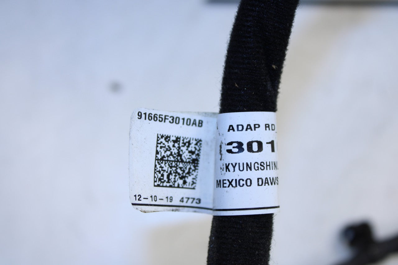 2019-2020 Hyundai Elantra SEL Rear Right Side Door Wire Harness 91665-F3010 OEM - Alshned Auto Parts
