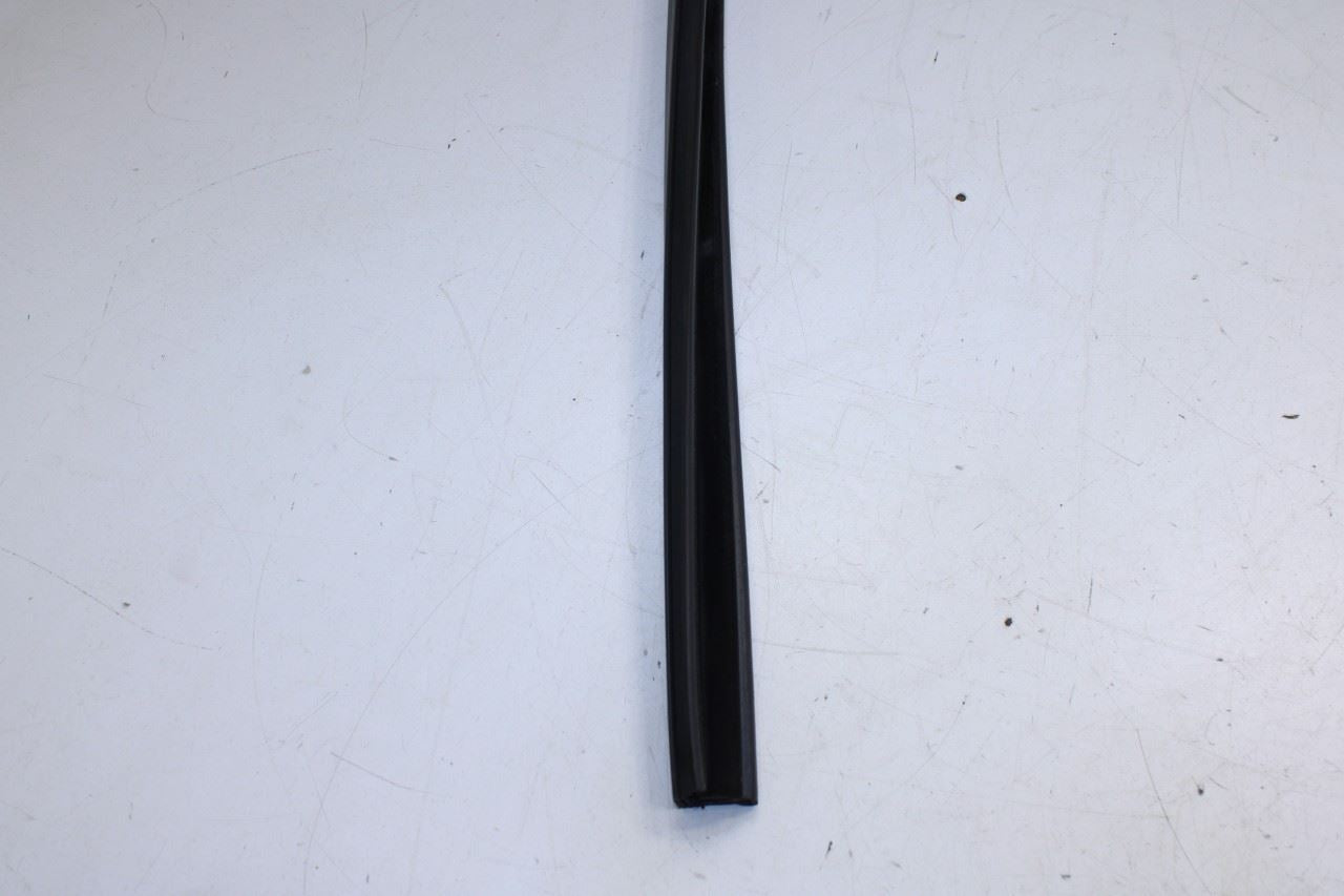 11-18 Ram 1500 Crew Cab Laramie Front Left Door Run Channel w/ Belt Weatherstrip - Alshned Auto Parts
