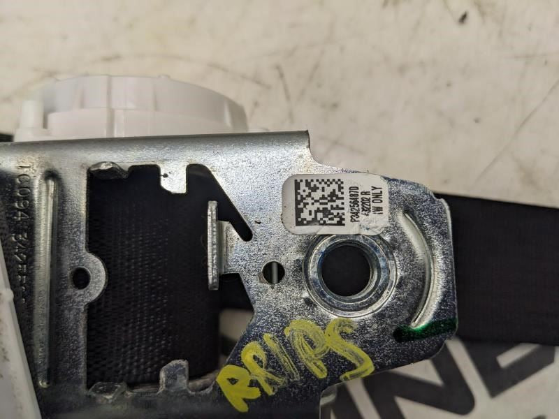 2019-24 Ram 1500 Big Horn Crew Cab 5.7L Rear Right Side 2nd Seat Belt Retractor5