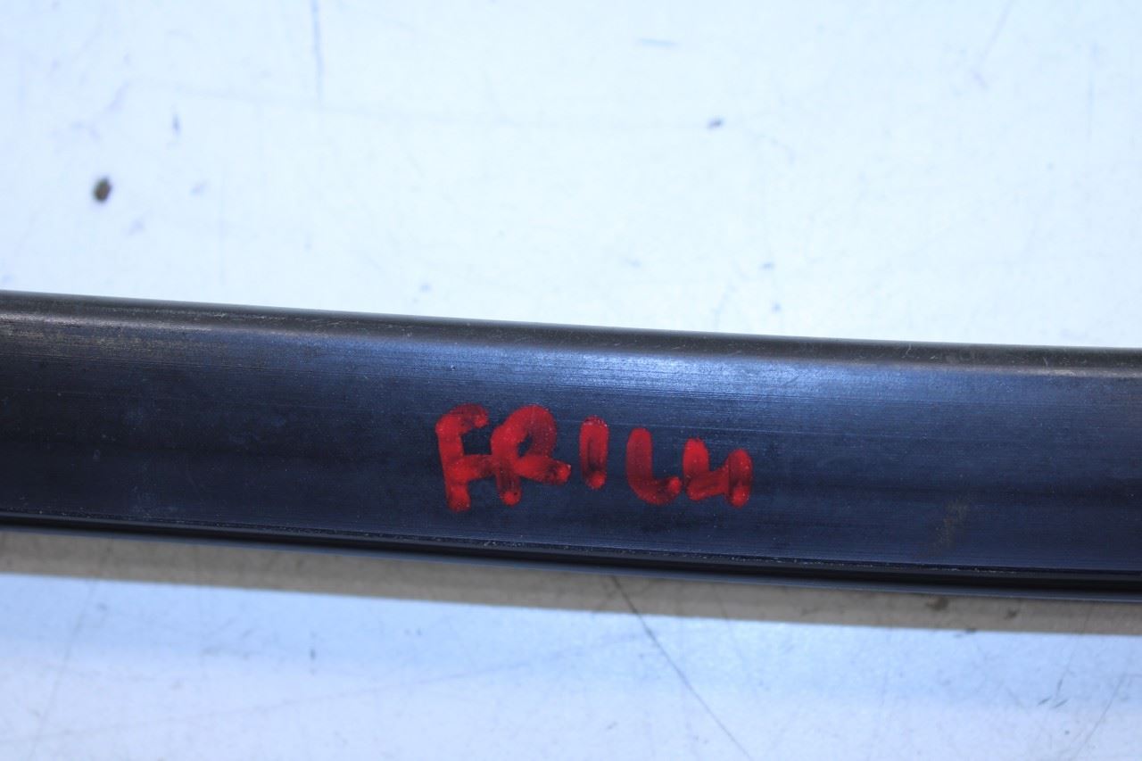 11-18 Ram 1500 Crew Cab Laramie Front Left Door Run Channel w/ Belt Weatherstrip - Alshned Auto Parts