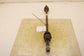 14-20 Infiniti QX60 Pure AWD Rear Right Passenger Side CV Axle Drive Half Shaft - Alshned Auto Parts