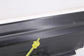 2012-2015 Audi A7 Premium Right Side Rocker Skirt Panel Molding 4G8853856 *ReaD*8