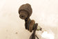 23-26 Acura Integra A-Spec FWD Rear Suspension Stabilizer Sway Bar 52330-T22-A00 - Alshned Auto Parts