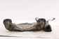 2015-16 Subaru Impreza Sport Premium 2.0L Front Exhaust Manifold Pipe 44620AD170 - Alshned Auto Parts
