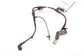 2021-23 Kia Sorento X-Line SX Prestige AWD Rear Right Side ABS Wheel Sped Sensor - Alshned Auto Parts