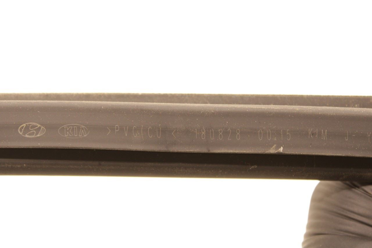 16-20 Kia Optima LX Front Left Door Run Channel w Belt Weatherstrips 82530-D5000 - Alshned Auto Parts
