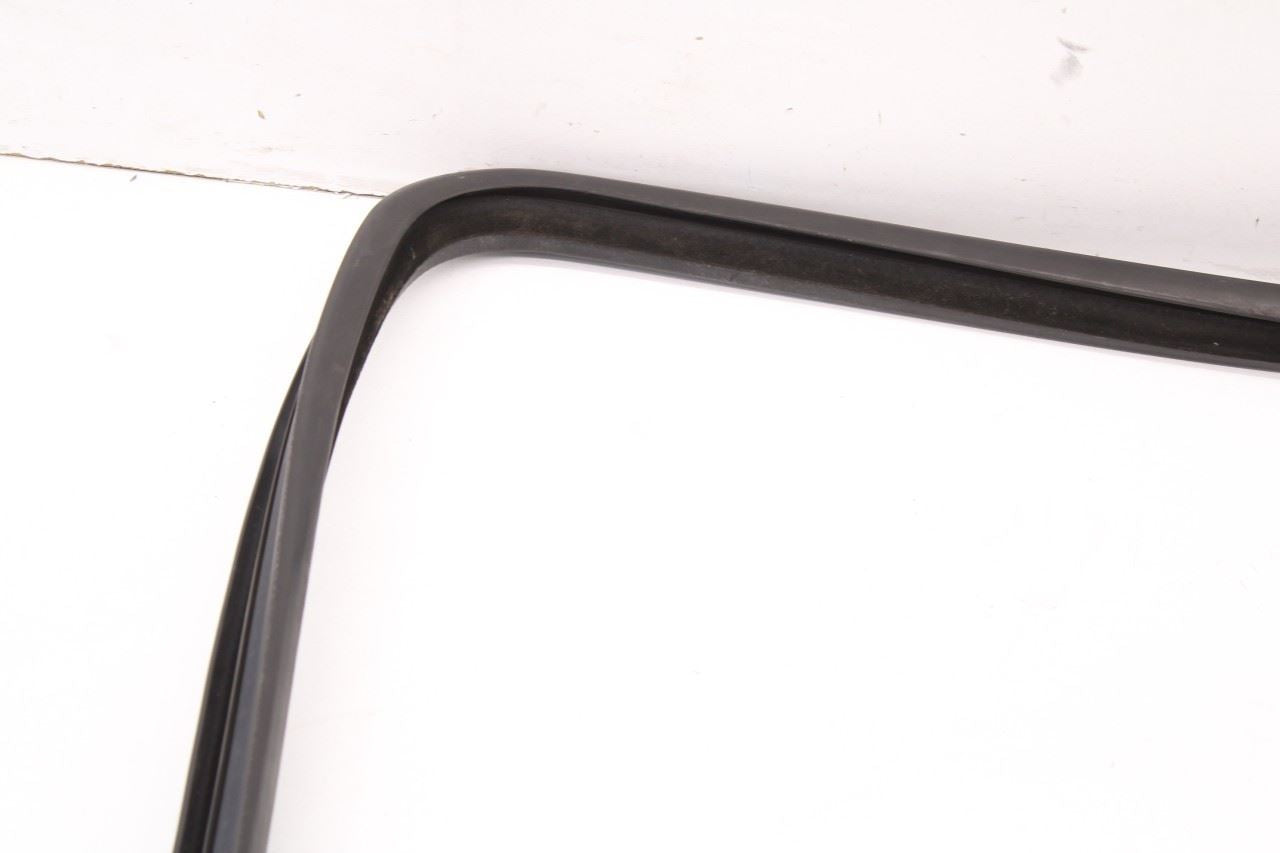 99-16 Ford F-250 Crew Cab Lariat Rear Left Door Run Channel w/ Weatherstrip Set - Alshned Auto Parts