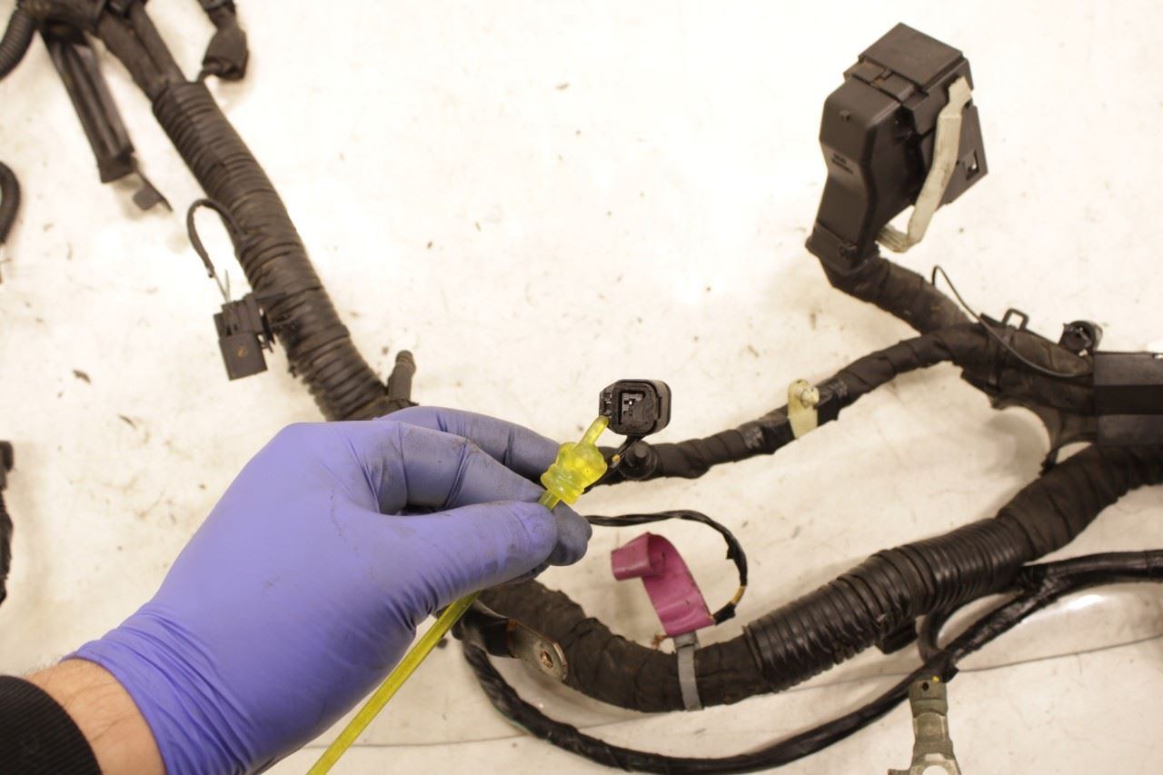 2018-21 Ford Ecosport SE 1.0L FWD Engine Wire Harness GN15-12C508-FD OEM *ReaD* - Alshned Auto Parts
