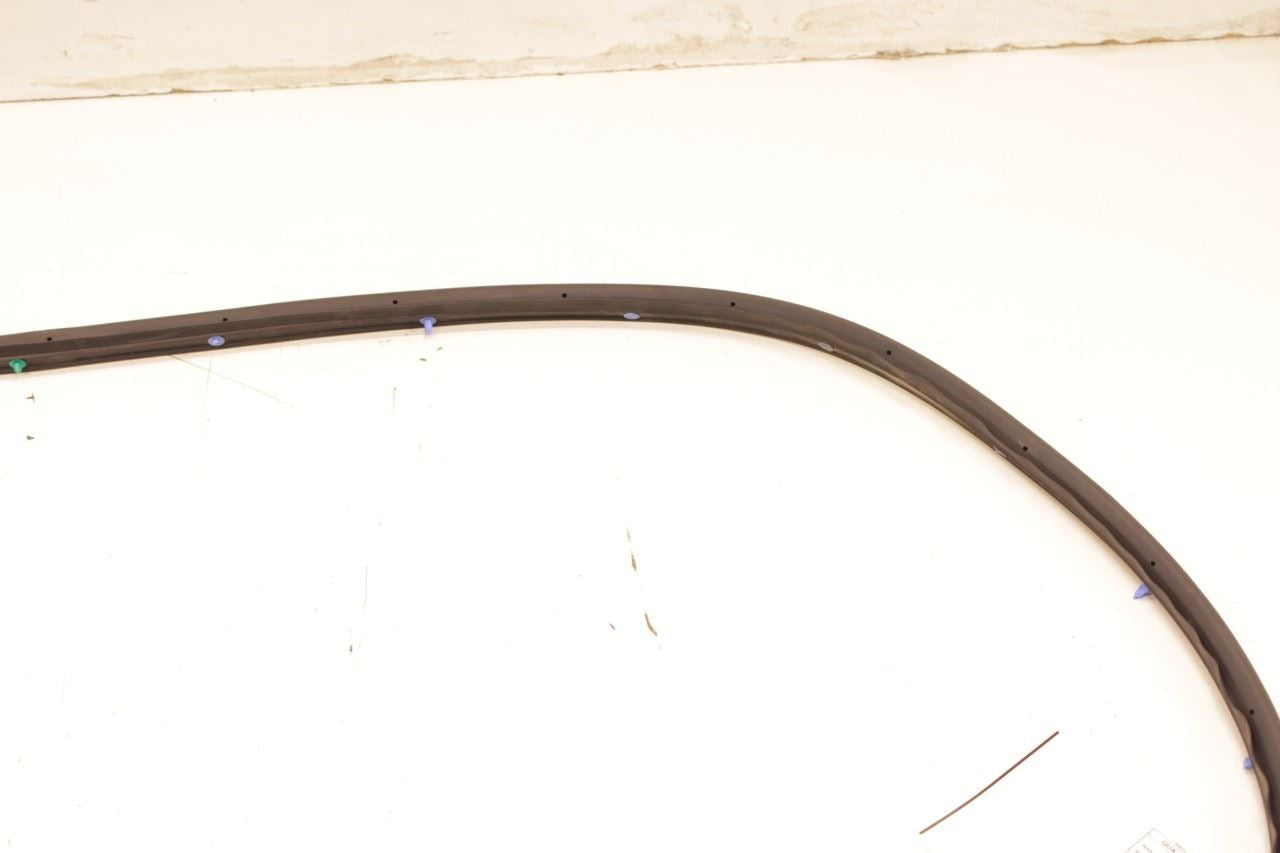 22-24 Hyundai Tucson SEL Rear Right Passenger Door Weatherstrip Seal 83140-CW000 - Alshned Auto Parts