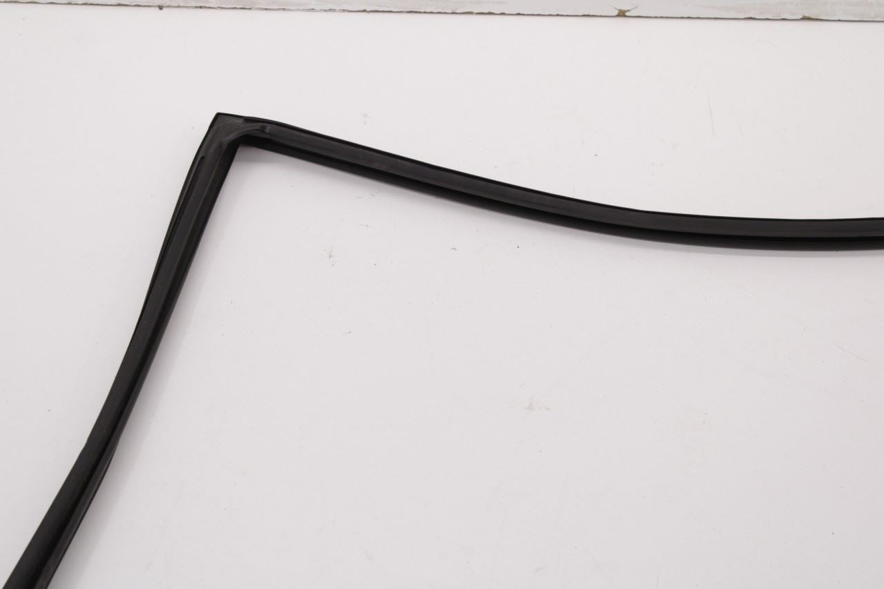 2013-2019 Nissan Sentra SL Rear Right Door Run Channel with Belt Outer Molding - Alshned Auto Parts