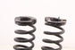 2013-2020 Lincoln MKZ Reserve Rear Right and Left Driver Side Coil Spring Set - Alshned Auto Parts