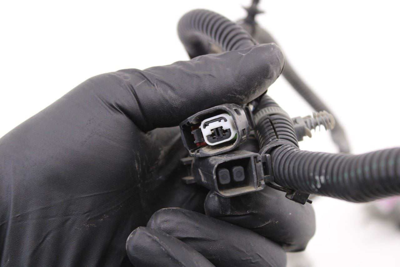 2022-2024 Chevrolet Silverado LT-L Rear License Plate Lamps with Wire Harness - Alshned Auto Parts