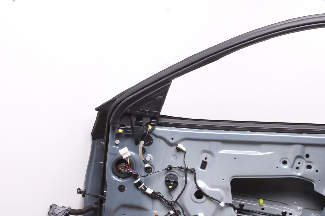 2019-2025 Infiniti QX50 LUXE Front Right Side Door Shell Panel H0100-5NAMA OEM - Alshned Auto Parts